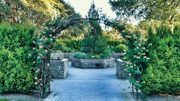 Botanical Garden (Oslo)